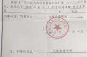 浮力影院国产限制,探索限制与创新的边界